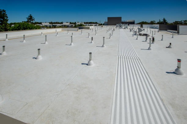 Best Roof Maintenance and Cleaning  in Newport, VT